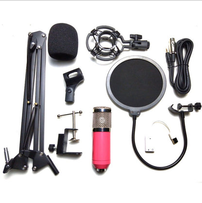 pack microphone BM-800